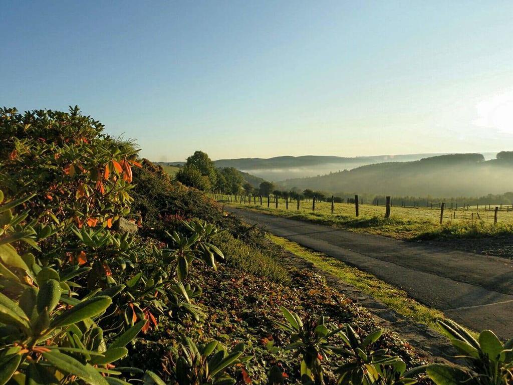 Fewo-Eifel-Morsbach Шлайден Екстериор снимка